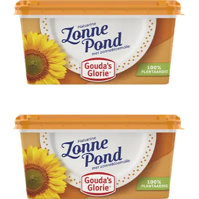 Zonnepond 2-pack