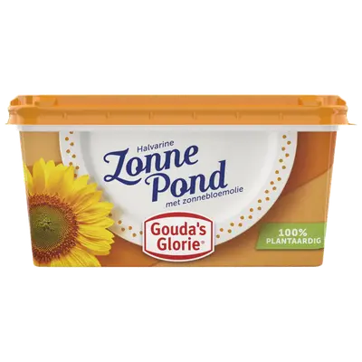 Zonne pond
