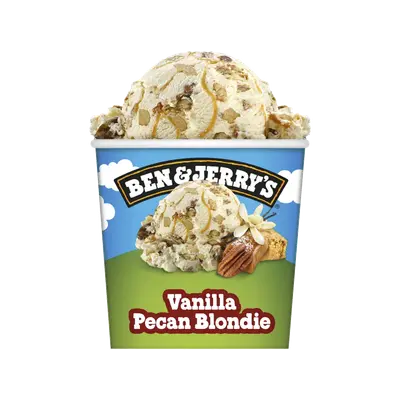 Vanilla pecan blondie