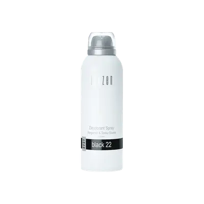 Deodorant Spray Black 22