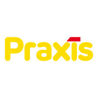 Praxis logo