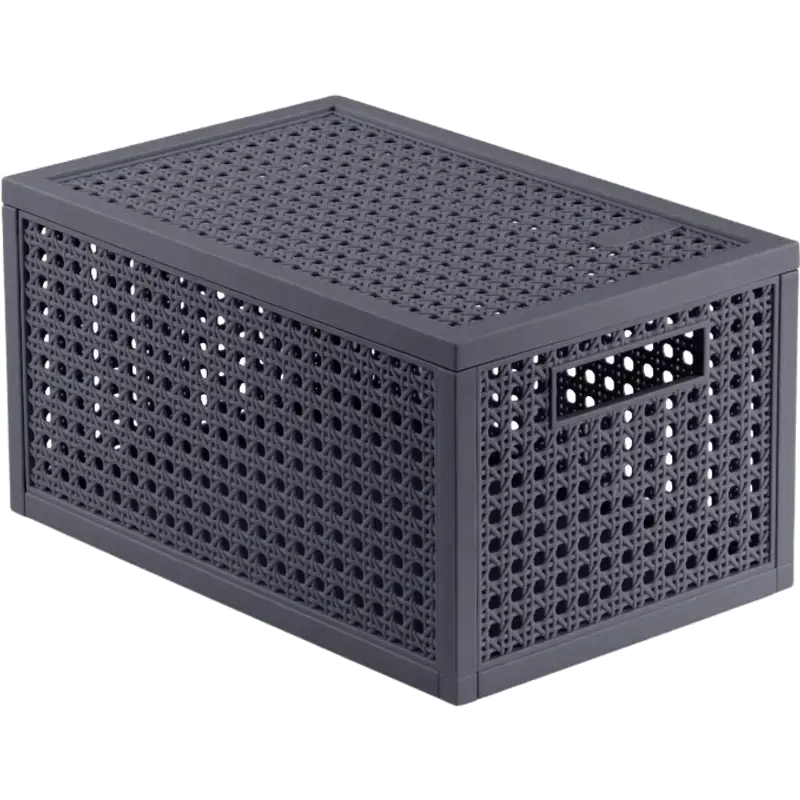 Kaya opbergmand - 7 L - 18,8 x 30 x 15,4 cm - antraciet - premium opbergoplossing, duurzaam kunststof, moderne opberging voor thuis