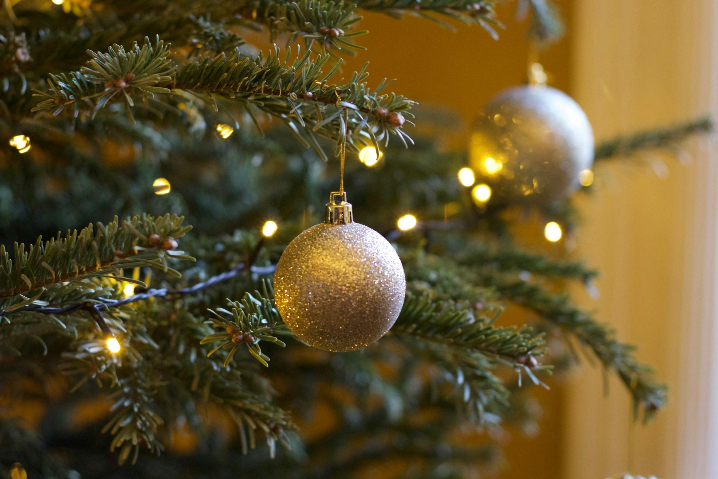 GAMMA kerstboom met gratis Staatslot