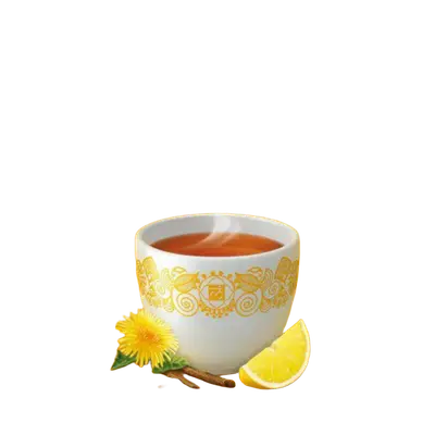 Biologische Thee Detox