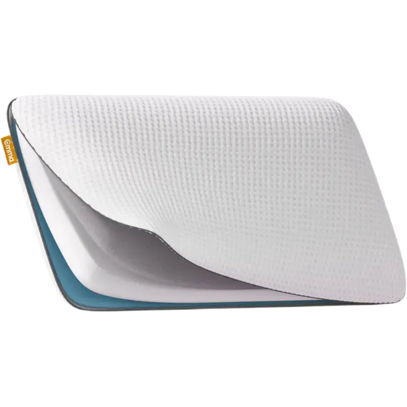 2X Pillow