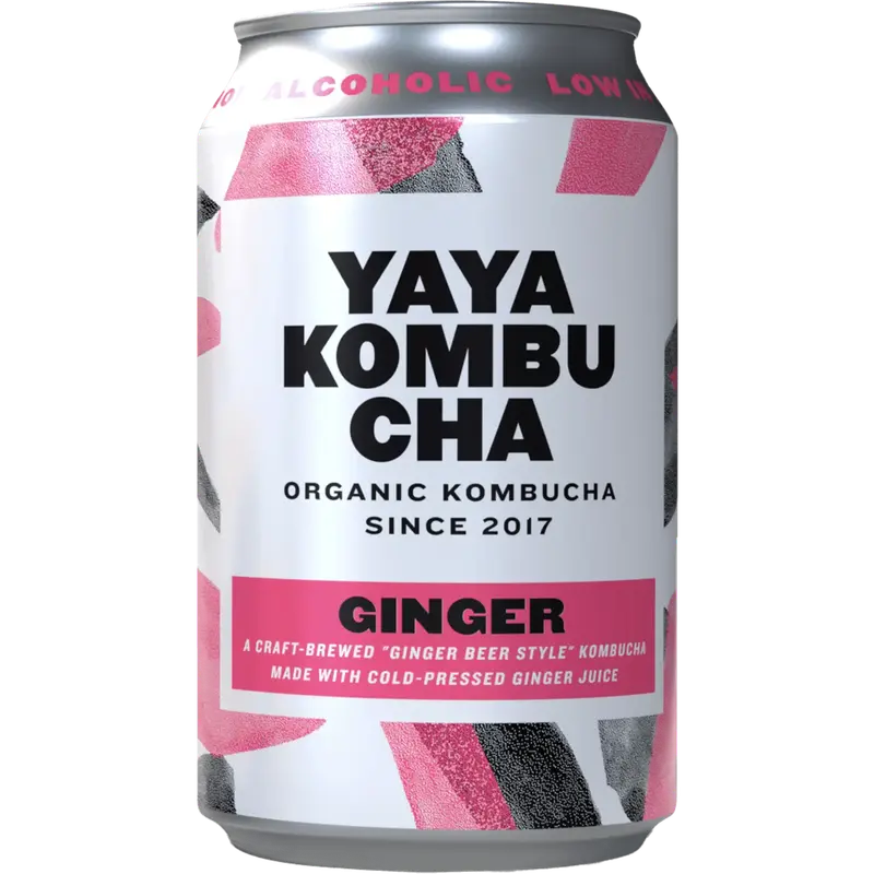 Kombucha Ginger bio