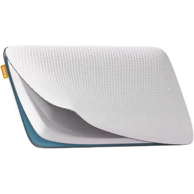 2X Pillow