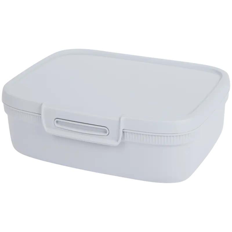 lunchbox met divider