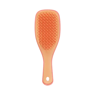 Ultimate Detangler